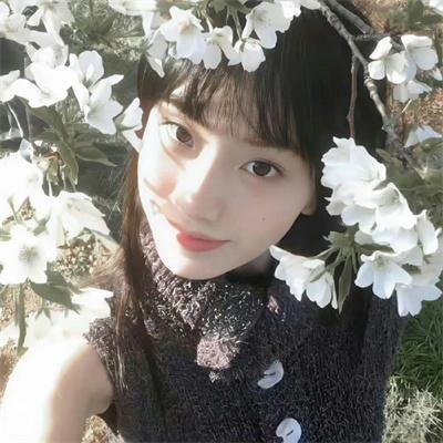 唐人街女人帮 在线观看